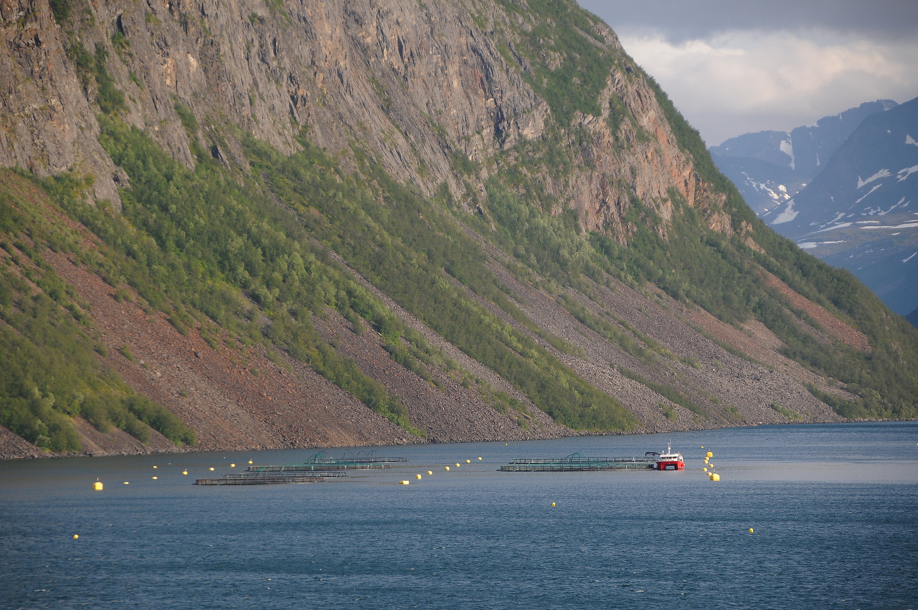 Seereise mit der Hurtigruten MS Midnatsol
